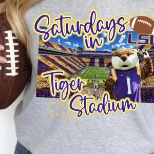 Saturdays In Tiger Stadium