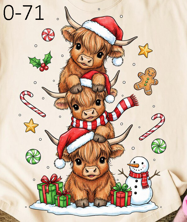 O-71 Three Highland Cows