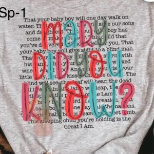 SP-1 Mary Did You Know