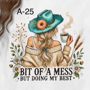 A-25 Bit Of A Mess, But Doing My Best