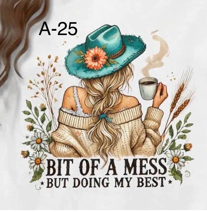 A-25 Bit Of A Mess, But Doing My Best